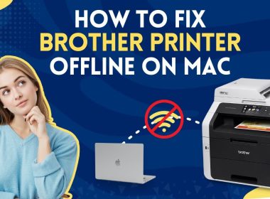 Epson Printer Offline