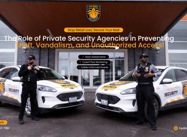 Private Security Agencies in Preventing Theft, Vandalism, and Unauthorized Access!