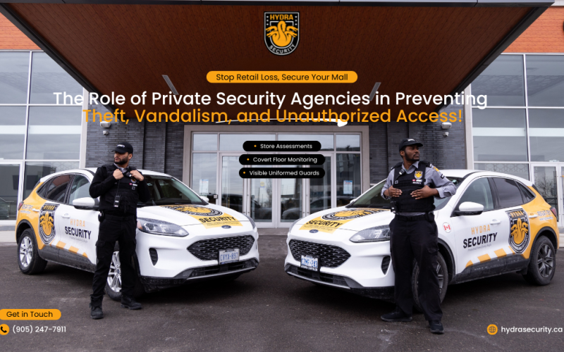 Private Security Agencies in Preventing Theft, Vandalism, and Unauthorized Access!