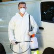 Best Pest Control in Kolkata