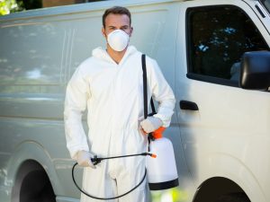 Best Pest Control in Kolkata
