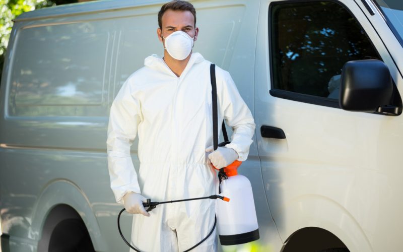 Best Pest Control in Kolkata