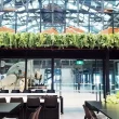 indoor hanging planters