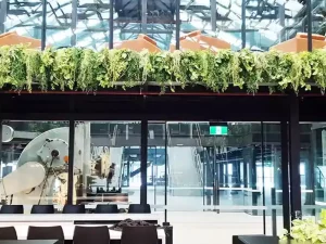 indoor hanging planters