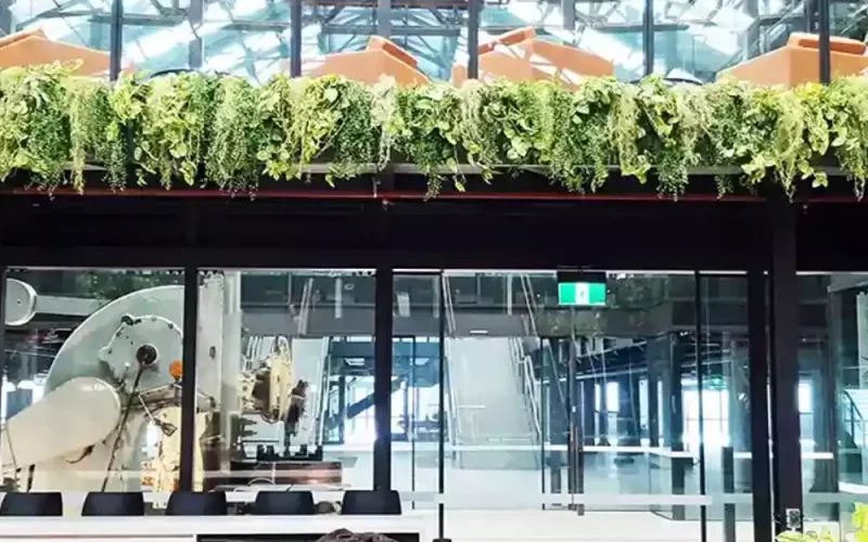 indoor hanging planters