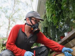 local pest experts
