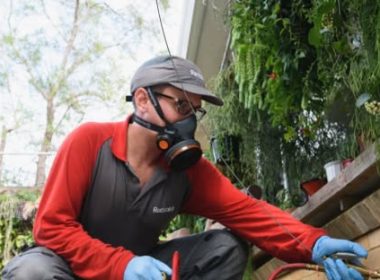 local pest experts