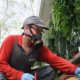 local pest experts