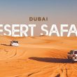 Dubai Morning Desert Safari