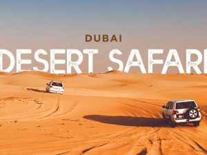 Dubai Morning Desert Safari