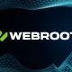 Webroot Support