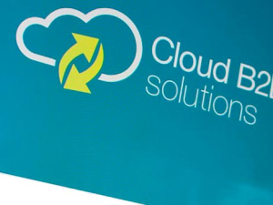 Cloud B2B Solutions