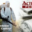 Affordable Pest Control Packages for Waco Homeowners