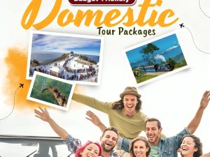domestic tour package image