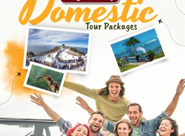 domestic tour package image