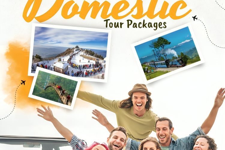 domestic tour package image