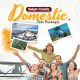domestic tour package image