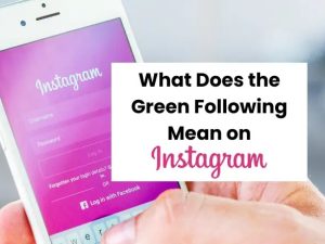 Green Following Button on instagram