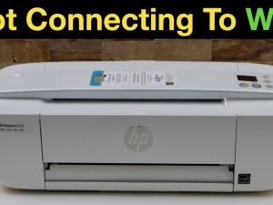HP Printer Not Connecting to Internet