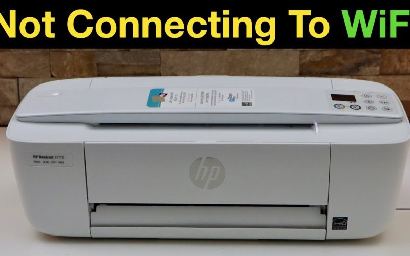 HP Printer Not Connecting to Internet