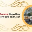 Junk Removal