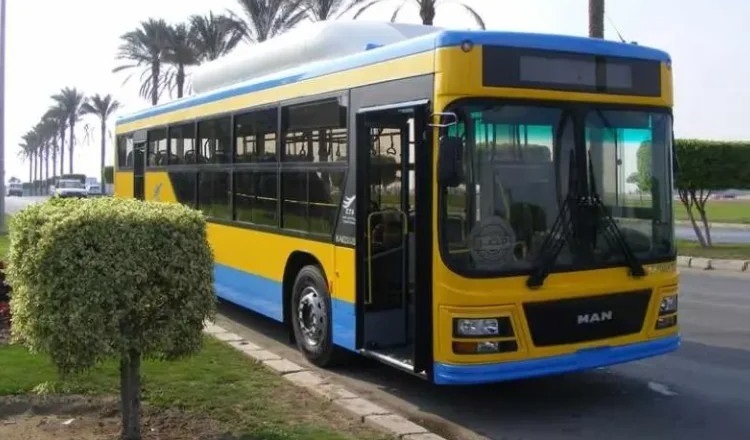 Transportation from Cairo to Siwa