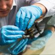 Windshield Replacement in Calgary