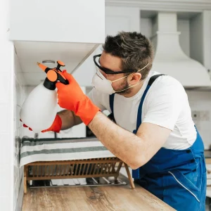 Affordable Pest Control Packages for Waco Homeowners