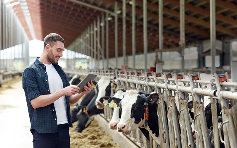 Crop Management Software