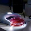 Human Biospecimens and Their Impact on Clinical Trials in the Pharma Industry