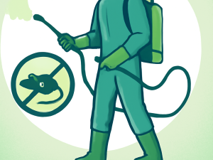 pest control in delhi