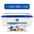 hp printer support