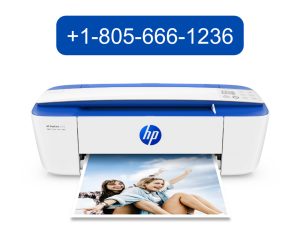 hp printer support