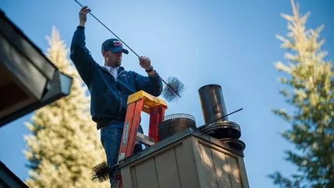 chimney animal removal Aurora CO