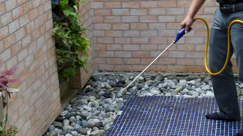 Pest Control Methods