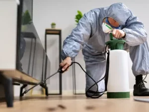 Pest Control Methods