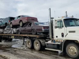 Car Removal