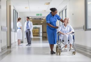 In-Country Caretakers in Japan PMDA