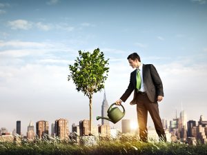 Sustainable Strategies