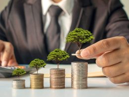 Sustainable Strategies