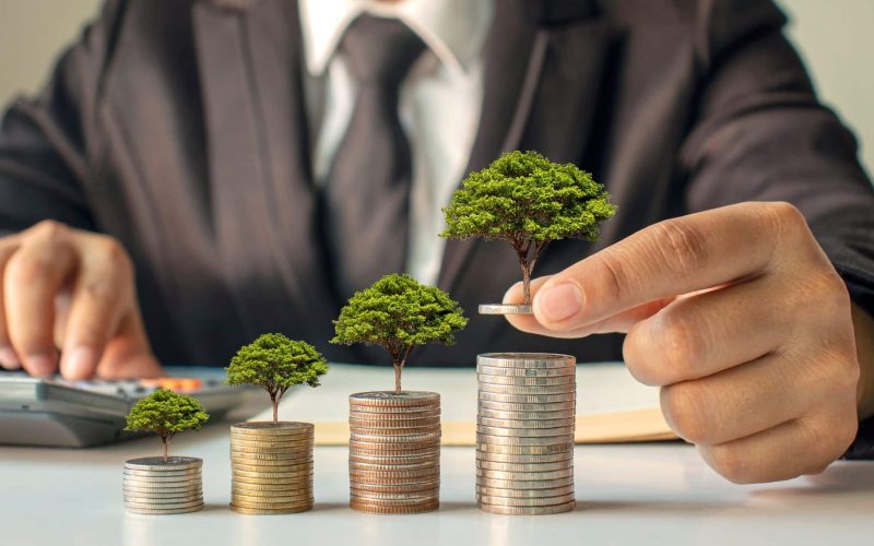 Sustainable Strategies