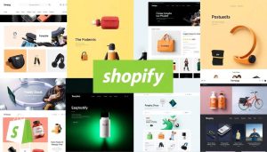 Store with Shopify Plus Performance Solutions