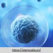 Allogeneic Stem Cell Therapy: