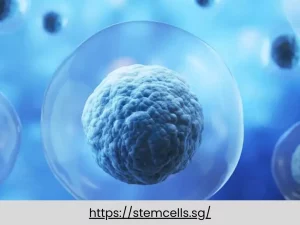 Allogeneic Stem Cell Therapy: