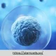 Allogeneic Stem Cell Therapy: