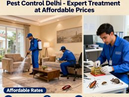 pest control delhi