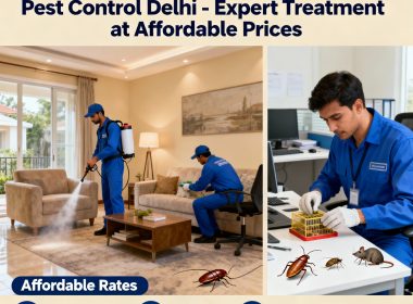 pest control delhi