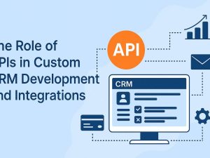 The Role of APIs in Custom CRM Development & Integrations