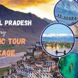 domestic tour package