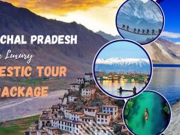 domestic tour package